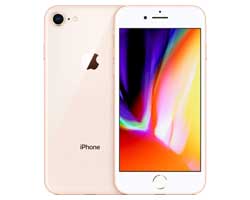 Apple iPhone 8 Service in Chennai