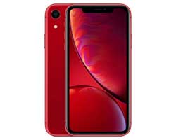 Apple iPhone XR Service in Chennai