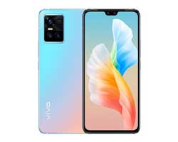 Vivo S10e Service in Chennai