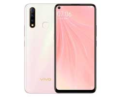 Vivo Z5x 2020 Service in Chennai